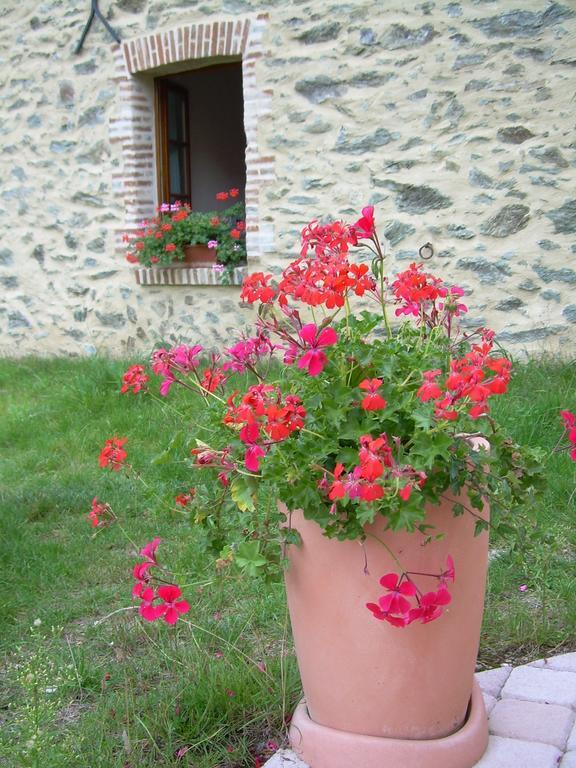 Le Moulin De Drapras Bed & Breakfast Chemille-en-Anjou Oda fotoğraf