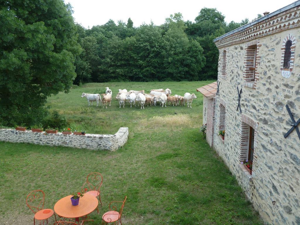 Le Moulin De Drapras Bed & Breakfast Chemille-en-Anjou Dış mekan fotoğraf