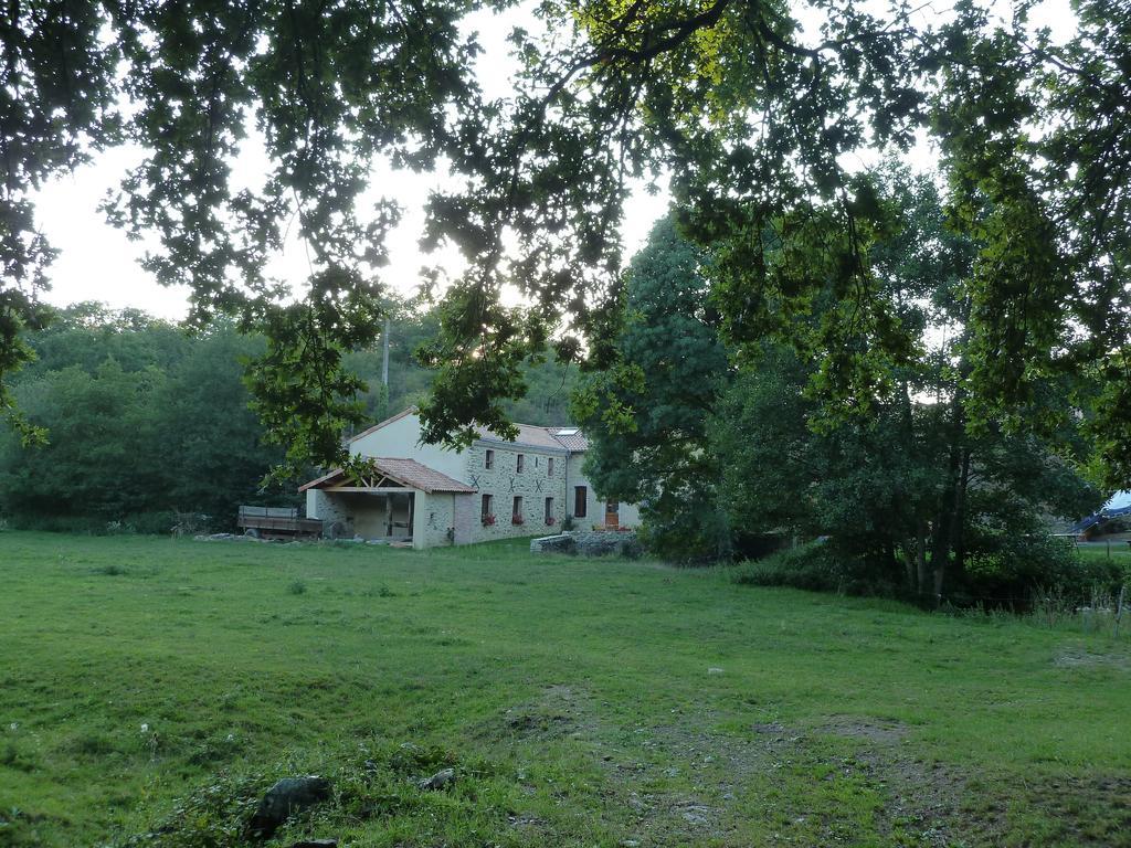 Le Moulin De Drapras Bed & Breakfast Chemille-en-Anjou Dış mekan fotoğraf